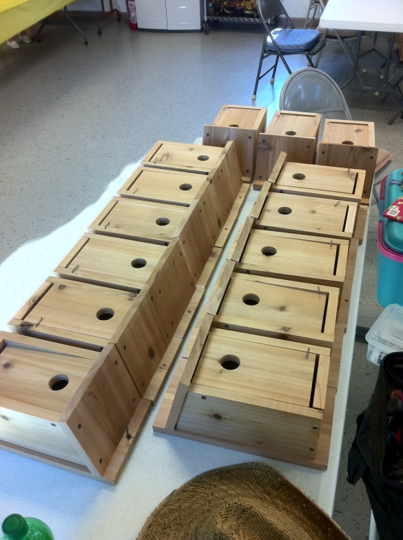 DIY Birdhouse Plans For Dummies Wooden PDF deck buildi   ng 
